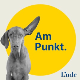 Am Punkt - Steuern. Wirtschaft. Recht. Zum Hören.