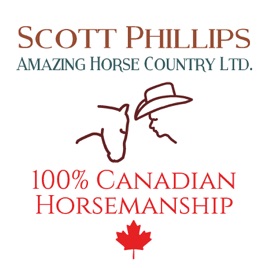 Amazing Horse Country