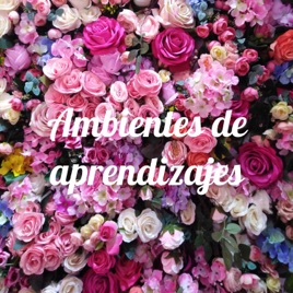 Ambientes de aprendizajes