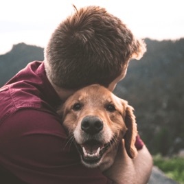 American pets