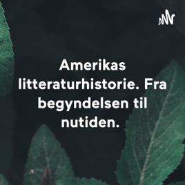Amerikas litteraturhistorie. Fra begyndelsen til nutiden