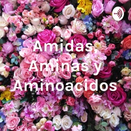 Amidas, Aminas y Aminoacidos