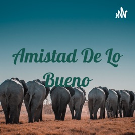 Amistad De Lo Bueno