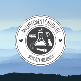 An Experiment Called Life