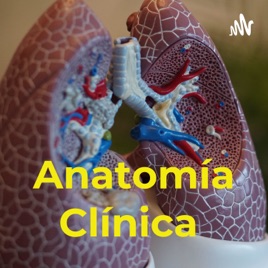 Anatomía Clínica
