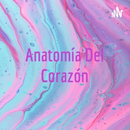Anatomía Del Corazón