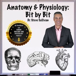 Anatomy and Physiology - Bit by Bit
