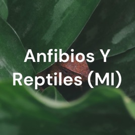Anfibios Y Reptiles (MI)