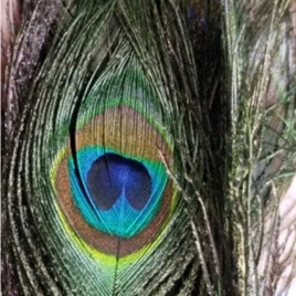 Angels Creations