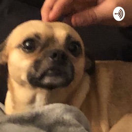 Aniim0sity Podcast
