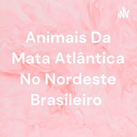 Animais Da Mata Atlântica No Nordeste Brasileiro