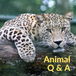 Animal Q&A