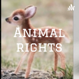 Animal rights