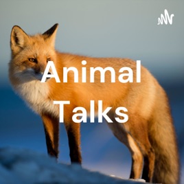 Animal Talks