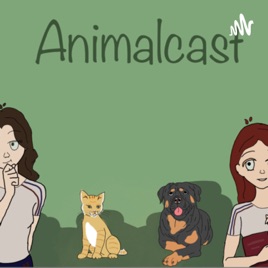 Animalcast