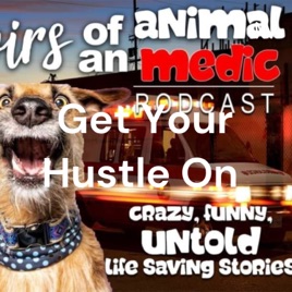 Animalmedics
