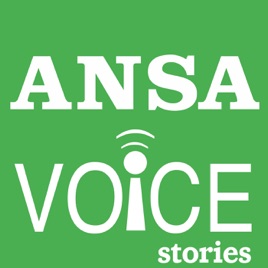 ANSA Stories