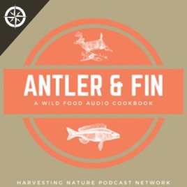 Antler & Fin