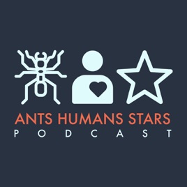 Ants Humans Stars