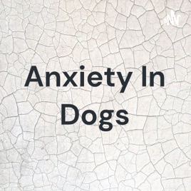 Anxiety In Dogs