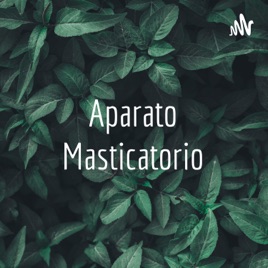 Aparato Masticatorio