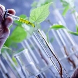 Aplicações Práticas Da Biotecnologia Na Agricultura