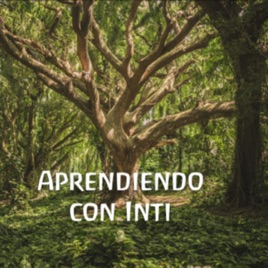 Aprendiendo con Inti