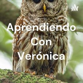 Aprendiendo Con Verónica