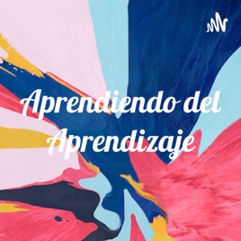 Aprendiendo del Aprendizaje