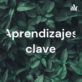 Aprendizajes clave