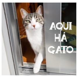 Aqui Há Gato