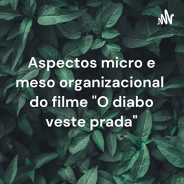 Aspectos micro e meso organizacional do filme "O diabo veste prada"