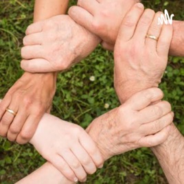 Assistência Social e Voluntariado