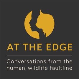 At the Edge