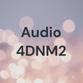 Audio 4DNM2