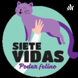 Audiocuentos de Siete Vidas