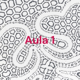 Aula 1 - continuação