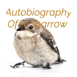 Autobiography Of A Sparrow
