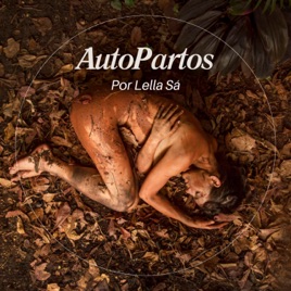 Autopartos por Lella Sá