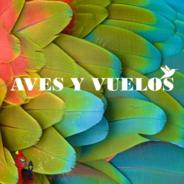 AVES Y VUELOS