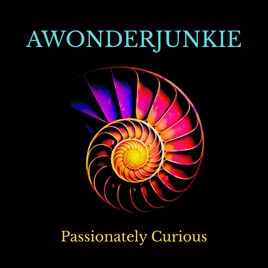 AWONDERJUNKIE