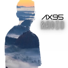 AX95 Radio