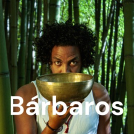 Bárbaros