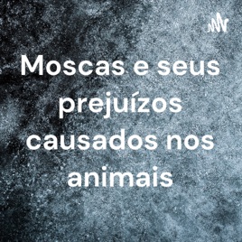 Moscas e seus prejuízos causados nos animais