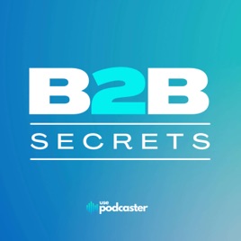 B2B Secrets: Insights From B2B Leaders of Fast-Growing Companies