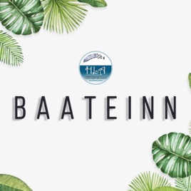 Baateinn