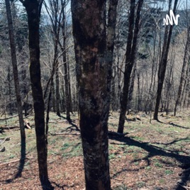 Backwoods Podcast