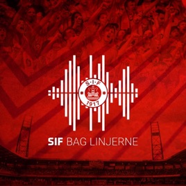 BAG LINJERNE