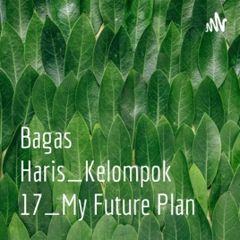 Bagas Haris_Kelompok 17_My Future Plan