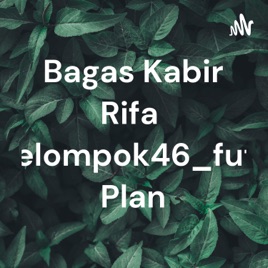 Bagas Kabir Rifa'i_kelompok46_future Plan